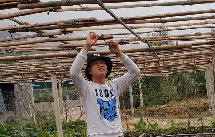 Lê Hoàng Sơn hộ gia đình trồng trọt, tăng gia sản xuất.