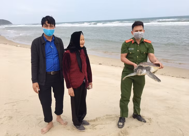Chính quyền địa phương cùng công an xã và nhân dân thả cả thể rùa biển về môi trường tự nhiên.
