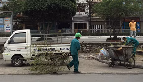 Công nhân vệ sinh môi trường phải đi thu gom rác đào do người dân vứt tùy tiện trên phố.