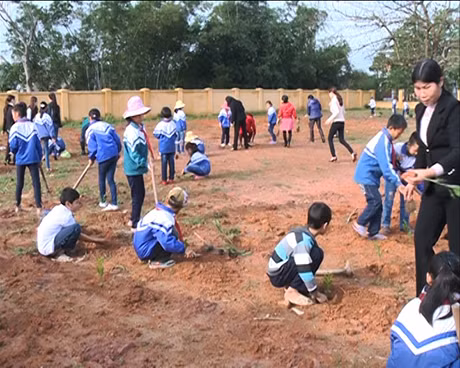 Cán bộ, nhân dân huyện Đầm Hà tham gia trong lế phát động Tết trồng cây.