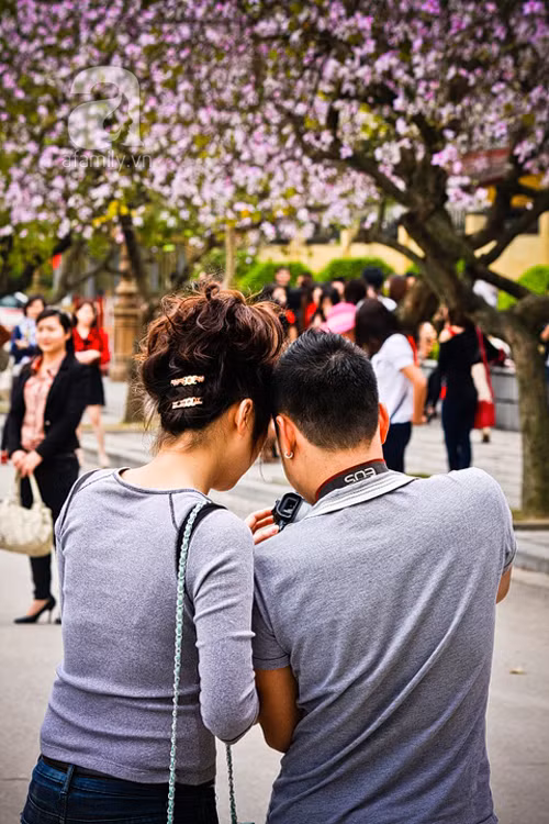 Nhiều đôi uyên ương rủ nhau đến đây chụp ảnh kỷ niệm, các bạn trẻ tranh thủ thời gian rảnh rỗi đến tham quan và ghi lại cho mình những hình ảnh tuyệt đẹp trên con phố tràn ngập sắc tím hoa ban rực rỡ.