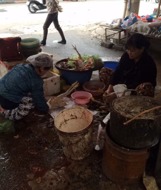 Dịch vụ giết mổ gà thuê tất bật những ngày cận Tết. Ảnh: H.Dịu.