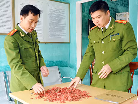 Tang vật Công an phường Hà An thu giữ do đối tượng Phạm Văn Hiển đốt pháo đêm giao thừa.