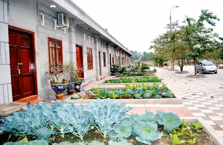 Các căn hộ có thiết kế đẹp và tiện lợi được bàn giao cho người lao động trước Tết Ất Mùi 2015. Ảnh: Thanh Phong