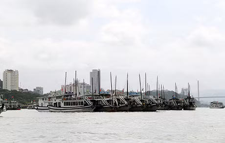 Ảnh minh hoạ
