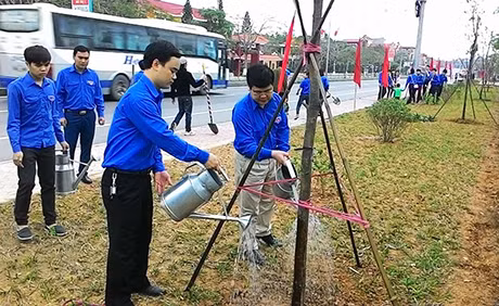 Đoàn Thanh niên TP Uông Bí trồng cây tại khu vực dọc hai bên đường Quốc lộ 18A, đoạn qua phường Nam Khê.