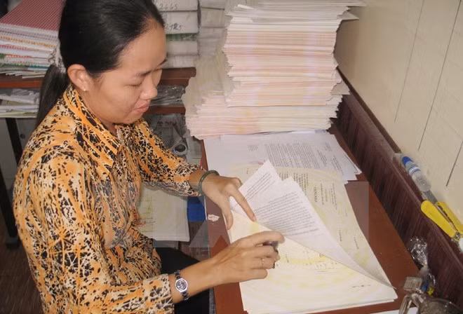 Ảnh minh họa. (Ảnh: Huỳnh Sử/TTXVN)