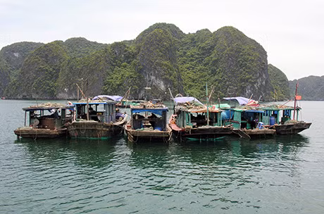 Ảnh minh họa.