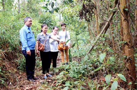 Văn phòng Thừa phát lại TP Hạ Long kiểm đếm xác nhận tình trạng tại địa bàn để xác lập vi bằng theo yêu cầu của công dân.