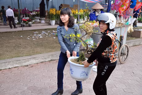 Vội vã mang hương vị mùa xuân về gia đình mình.