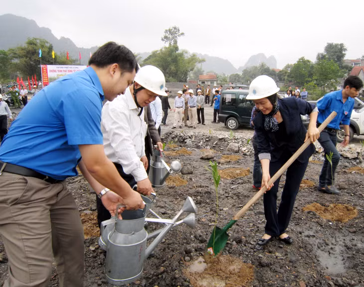 TP Hạ Long phát động Tết trồng cây Xuân Ất Mùi 2015 ảnh 1