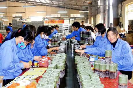 Trong 103 doanh nghiệp có vốn đầu tư nước ngoài trên địa bàn tỉnh, mới có 8 doanh nghiệp có tổ chức cơ sở Đảng. Trong ảnh: Đóng gói sản phẩm tại Công ty TNHH Sản xuất nến cao cấp AIDI-KCN Cái Lân.
