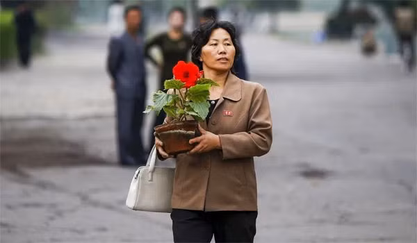 Một phụ nữ mang chậu hoa ở trung tâm Bình Nhưỡng. (Ảnh: Reuters)