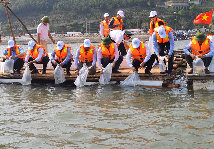 Các đại biểu tham gia thả cá tại vùng biển xã Hạ Long, huyện Vân Đồn