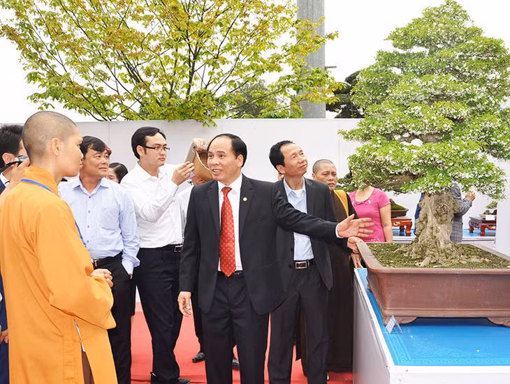 Đại biểu tham quan các tác phẩm cây cảnh nghệ thuật