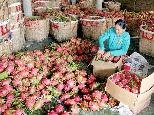 Ảnh minh họa. (Nguồn: TTXVN)