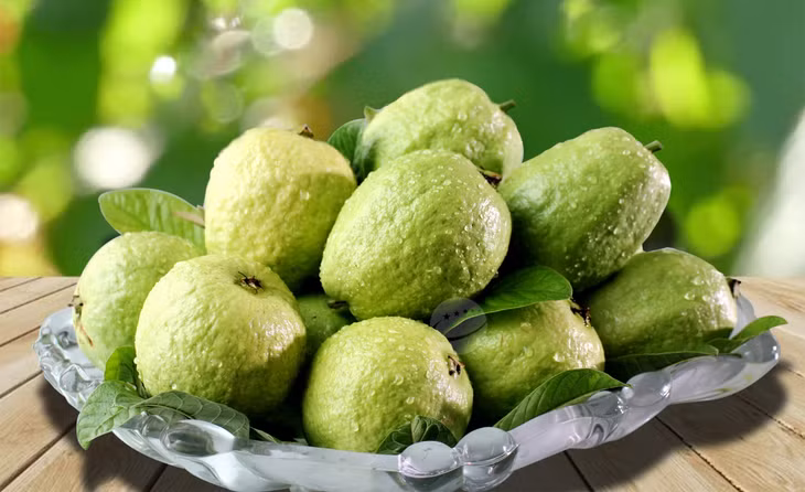 Ổi Hoành Bồ ngày càng được người tiêu dùng gần xa biết tới.