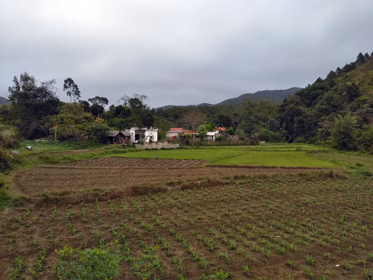 Xóm dân cư thuộc thôn 7, xã Hải Đông.