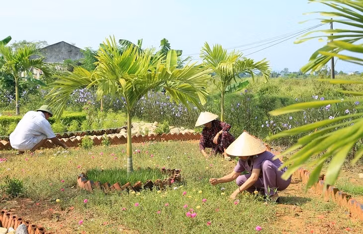 Bà con nông dân xã Đông Hải tranh thủ những ngày nông nhàn dọn dẹp, chỉnh trang cảnh quan, chăm sóc vườn hoa cây xanh trên địa bàn xã.