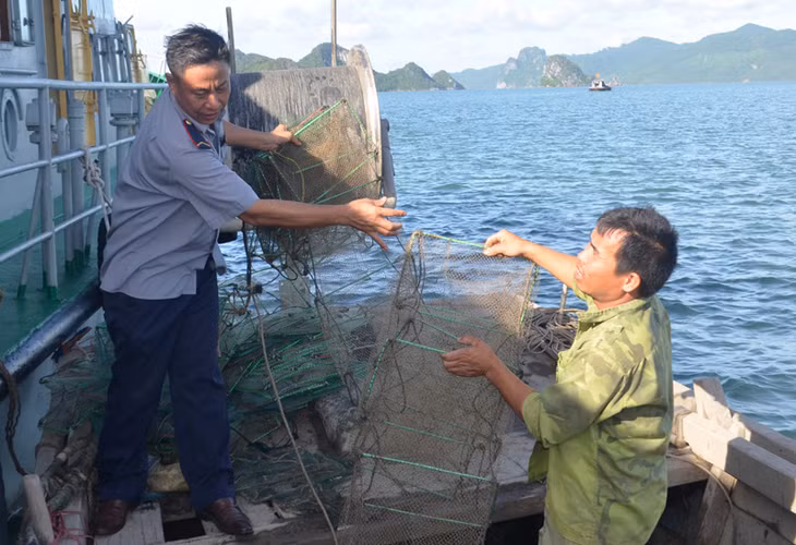 Qua khảo sát của cơ quan chức năng, mỗi thuyền ngư dân sử dụng từ 200 - 400 bộ lồng bát quái, tương đương chiều dài 2km -3km