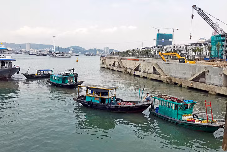 5 phương tiện vi phạm được tập kết về bờ
