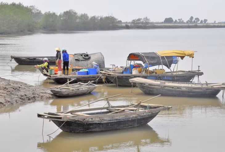 Thuyền ngư dân cập bến Cống Chùa, xã Liên Vị, TX Quảng Yên để bán cất thủy sản khai thác được.