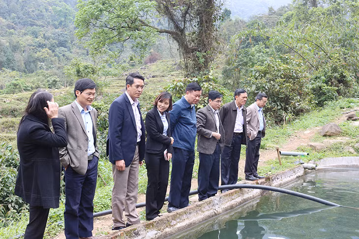 Đoàn công tác thăm mô hình nuôi cá tầm 