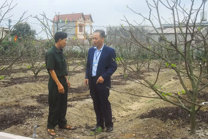 Cán bộ xã Bình Dương (bên phải) khảo sát thực tế mô hình trồng na của các hộ dân thôn Đạo Dương.