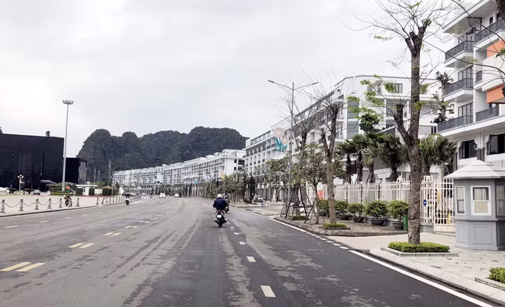Tổ hợp Dự án Mon Bay Hạ Long cũng đã thu hút nhiều người mua
