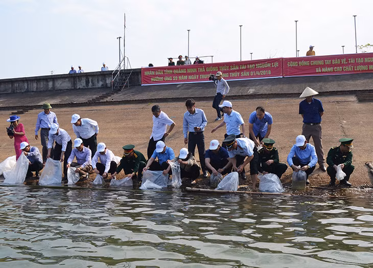 Các đại biểu thả cá tại hồ Khe Mai