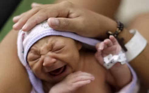 Giới chuyên gia y tế cho rằng virus Zika có thể có liên quan đến căn bệnh teo não ở trẻ sơ sinh. (Ảnh: Reuters)