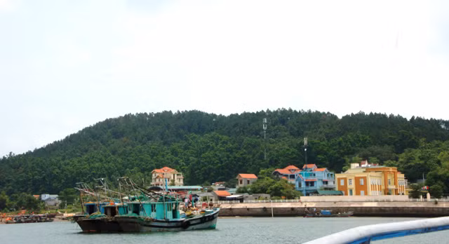 Một góc đảo Vĩnh Thực.