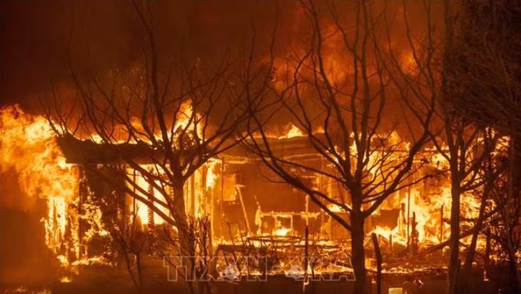 Mỹ đã ban bố tình trạng khẩn cấp tại bang California do cháy rừng (Ảnh: AFP/TTXVN)