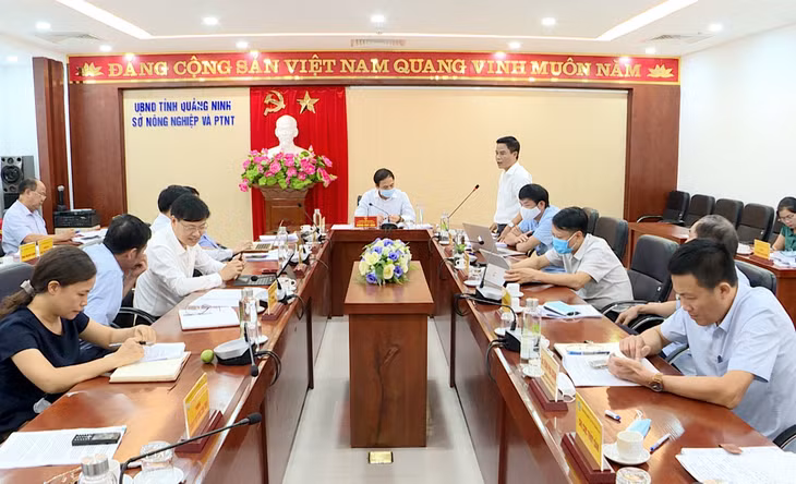 Đại diện Sở KH&ĐT báo cáo Dự thảo Kế hoạch