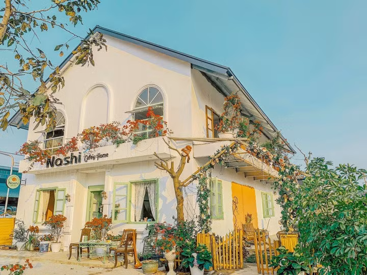 Nashi là không gian nhiều cây xanh và tông màu xanh bơ trong veo