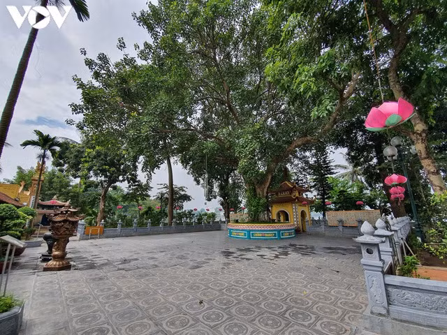 Khuôn viên trong chùa Trấn Quốc không một bóng người.