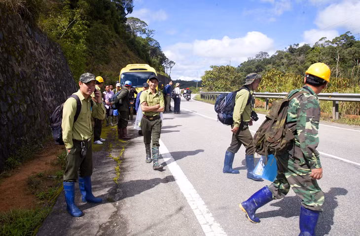 FAF