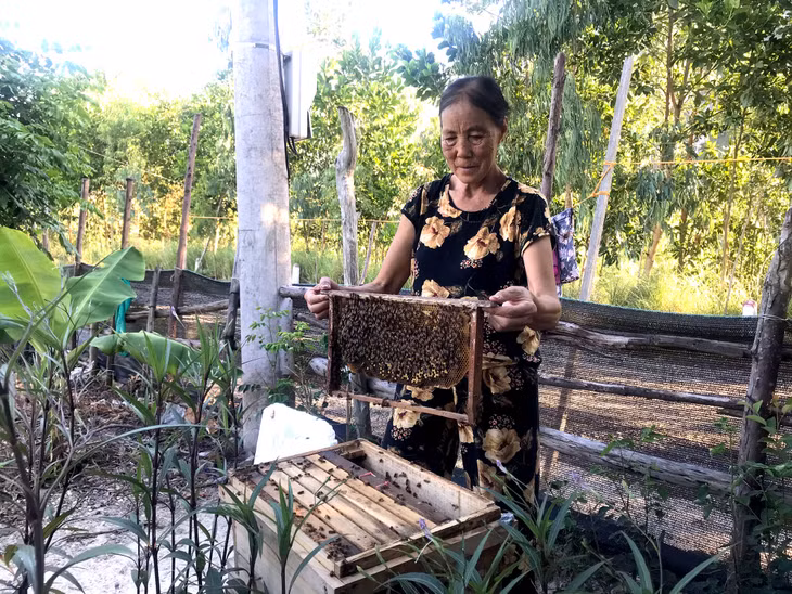 Gia đình bà Phạm Thị Đằng, hộ dân từ thôn Bản Sen cũ giờ đã được chuyển đến khu tái định cư, ổn định cuộc sống. 