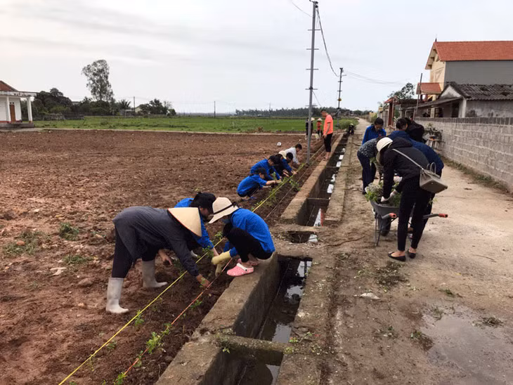 Người dân TP Móng Cái chung sức xây dựng nông thôn mới.