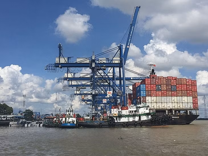 Doanh nghiệp logistics trong nước phát triển chưa tương xứng với tiềm năng