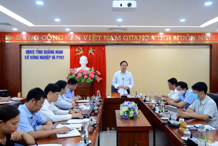 Đồng chí Đặng Huy Hậu, Phó Chủ tịch Thường trực UBND tỉnh, đại diện các sở, ngành liên quan dự hội nghị trực tuyến.
