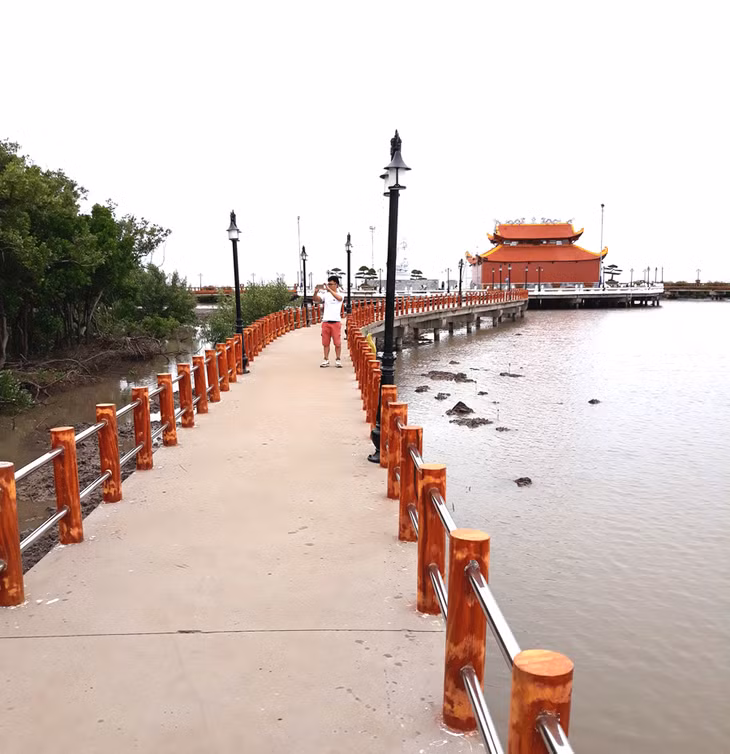 Cây cầu dài 3km đưa du khách thăm những khu rừng ngập mặn và ngắm mặt trời mọc từ biển phía Đông và mặt trời lặn từ biển Tây. Cuối con đường là đền thờ Lạc Long Quân