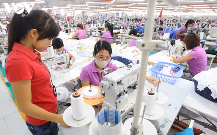 ILO và ADB kêu gọi các chính phủ trong khu vực tham gia đối thoại chính sách với thanh niên về các biện pháp can thiệp khẩn cấp tập trung vào thị trường lao động, trợ cấp, các chương trình việc làm cho thanh niên. (Ảnh minh họa)