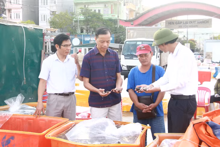 Chi cục Quản lý chất lượng nông, lâm sản và thủy sản Quảng Ninh kiểm tra chất lượng ngao hai cùi tại Cảng Cái Rồng, ngày 27/8/2020. Ảnh: Mạnh Trường