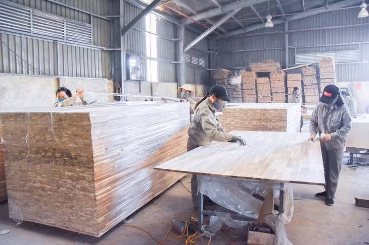 Sản xuất gỗ ghép thanh tại Công ty TNHH Thanh Lâm.