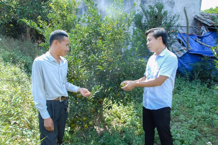 Người dân bản Nà Sa (xã Hoành Mô, Bình Liêu) có thu nhập ổn định nhờ tích cực tham gia dự án 