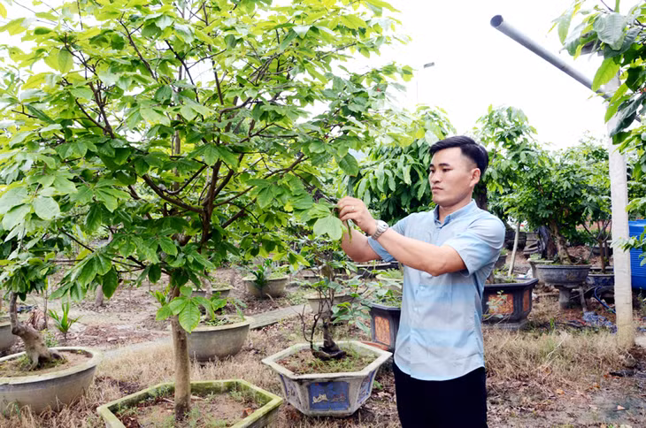Anh Phạm Văn Hoàn (thôn Ninh Bình, xã Bình Khê, TX Đông Triều) là một trong 100 tài năng trẻ được Quỹ Tài năng trẻ thị xã tuyên dương, khen thưởng năm 2017.