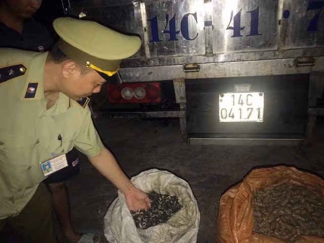 Phương tiện cùng tang vật thu giữ