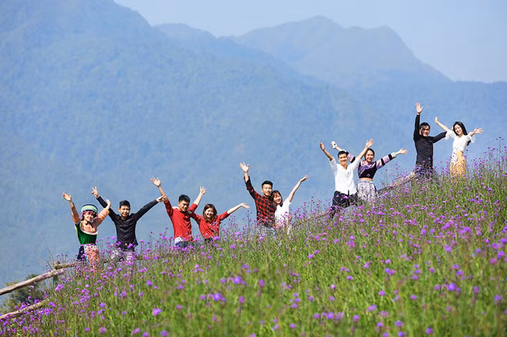 Đến với Fansipan những ngày này, bạn không chỉ được ngắm đỗ quyên, mà còn được chiêm ngưỡng núi rừng Tây Bắc giữa bạt ngàn những loài hoa rực rỡ khác.