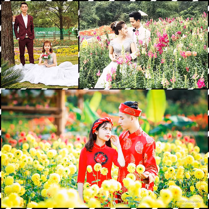 Không ít các bạn trẻ đã lựa chọn nơi này để chụp bộ ảnh cưới ý nghĩa của đời mình